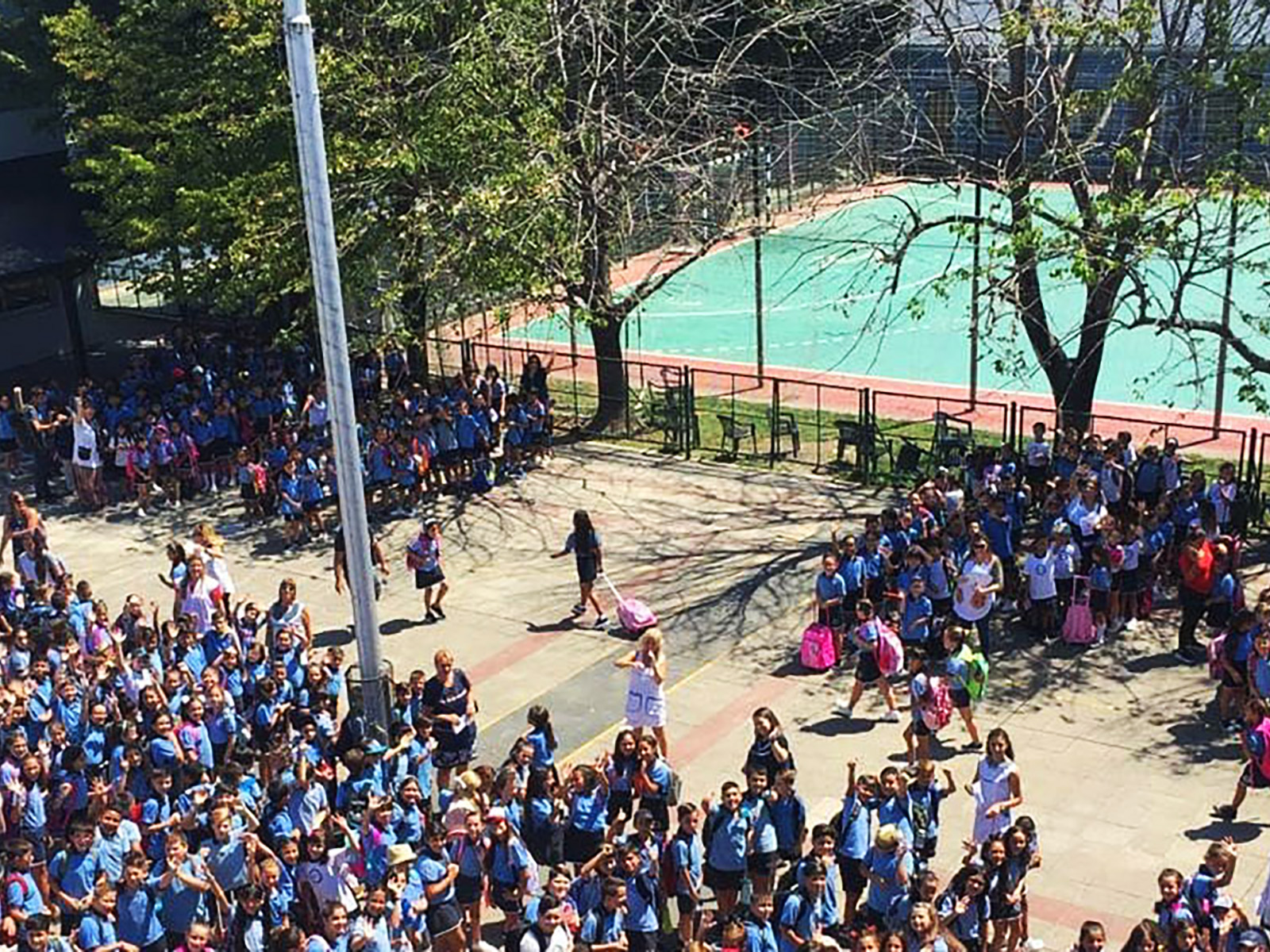 Primaria