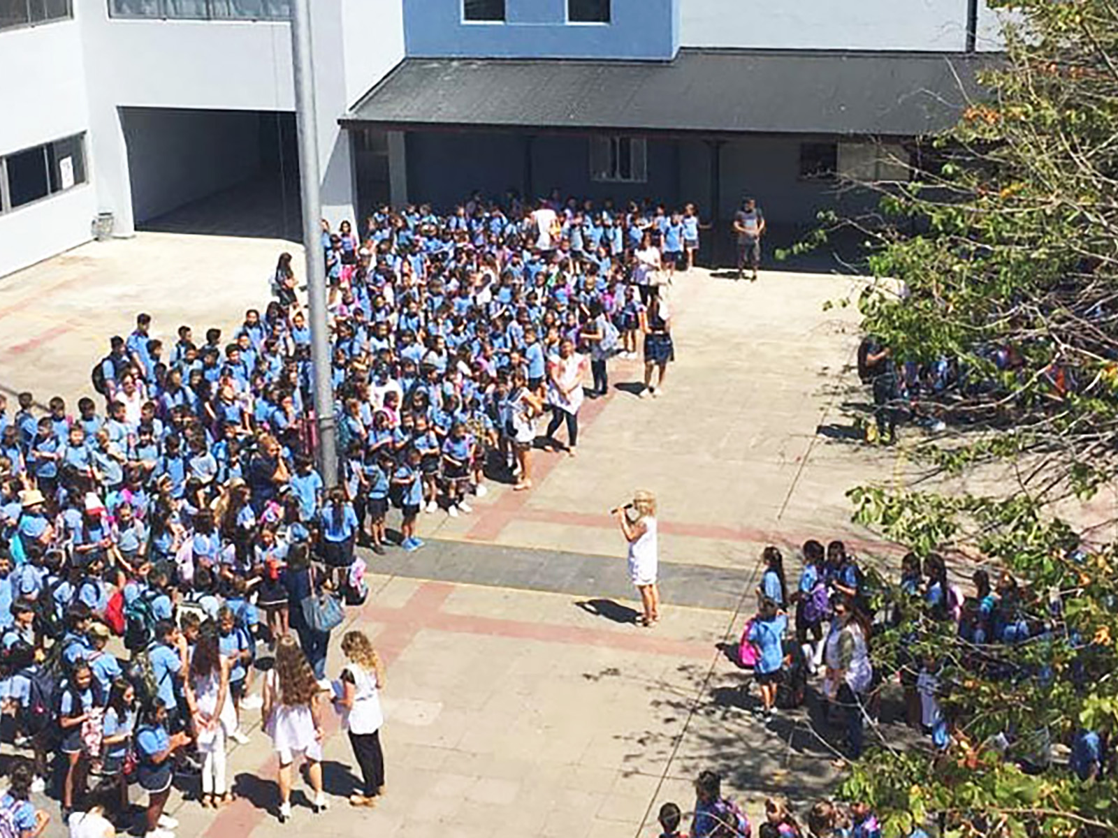 Primaria04